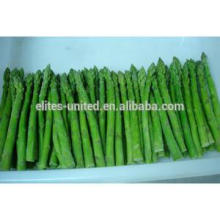 quick frozen green asparagus